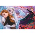Puzzle copii 100 piese TREFL Together for Forever Frozen II