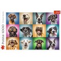 Puzzle carton 1000 piese TREFL Funny dog portraits varsta +12
