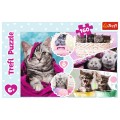 Puzzle 160 piese TREFL Lovely kittens copii +6