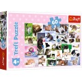 Puzzle 60 piese TREFL Cat's World varsta copii +4