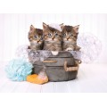 Puzzle carton 500 piese CLEMENTONI High Quality Collection Kittens and soap 35065/434869 +10