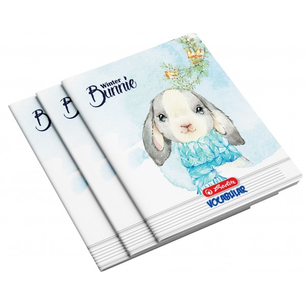 Vocabular A6 Herlitz, 24 file, diverse motive, 9481040