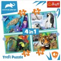 Puzzle carton 4in1 35-70 piese Trefl Animal Planet, 34382, 4+ ani
