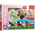 Puzzle carton 200 piese Trefl Beautiful Horses, 13248, 7+ ani