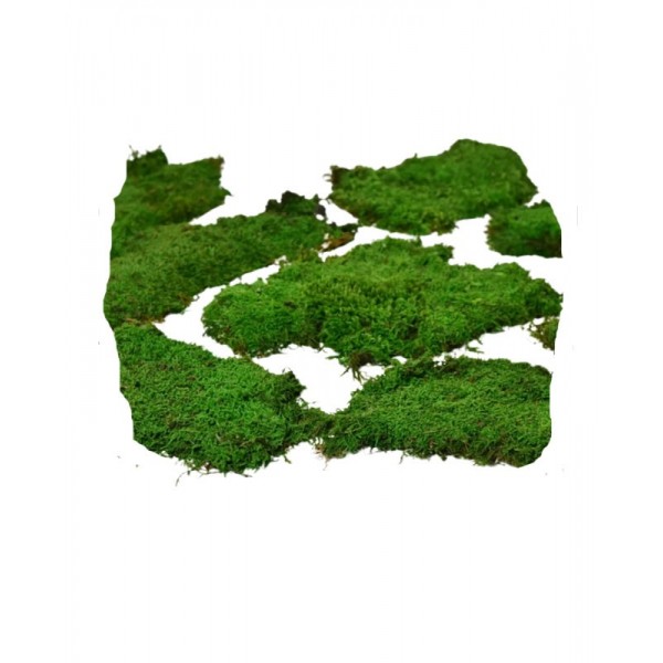 Foliage Flat Moss, punga 20g, Colorarte