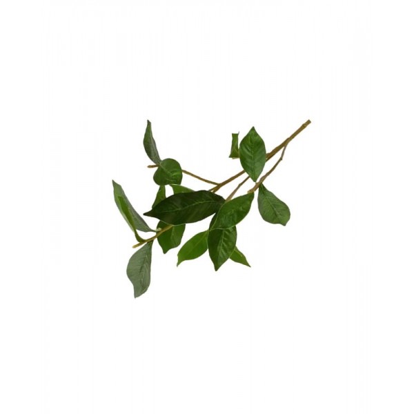 Foliage Gardenia, punga 5 buc, Colorarte