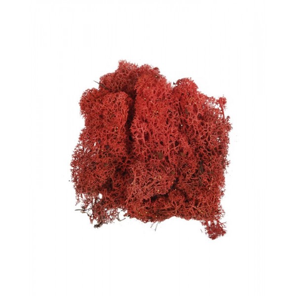Licheni stabilizati, rosu, cu sclipici, punga 20g, Colorarte, Q1