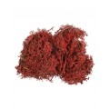 Licheni stabilizati, rosu, punga 30g, Colorarte, Q2