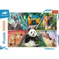 Puzzle carton 1000 piese Trefl Animal Planet - Animale din jungla, 10672, 12+ ani