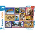 Puzzle carton 1000 piese Trefl Animal Planet - Animale salbatice, 10673, 12+ ani