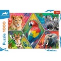 Puzzle carton 1000 piese Trefl Animal Planet - Animale de savana, 10671, 12+ ani