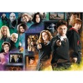 Puzzle carton 1000 piese Trefl Harry Potter - Lumea vrajitorilor, 10668, 12+ ani