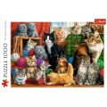 Puzzle carton 1000 piese Trefl Intalnirea felinelor, 10555, 12+ ani