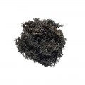 Licheni stabilizati, negru, punga 30g, Colorarte, Q2