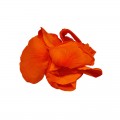 Foliage trandafir, portocaliu inchis, petale, punga 6g, Colorarte