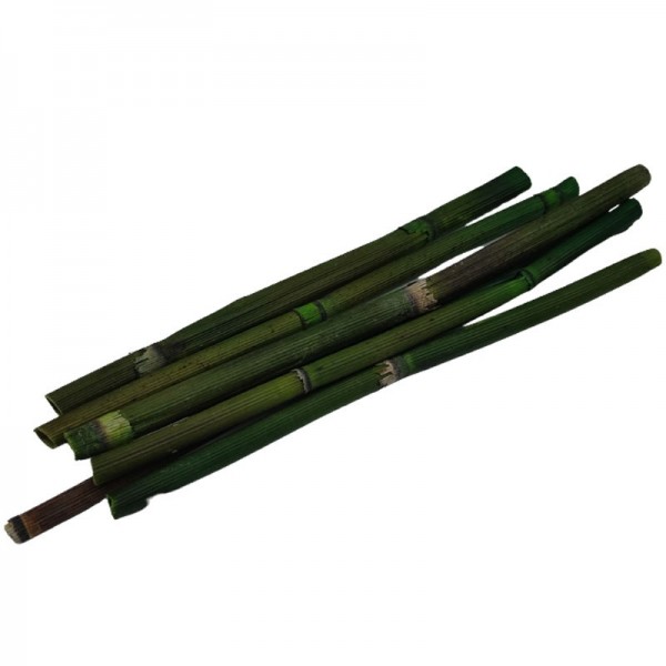Foliage Bamboo, verde, maro, mixt, punga 7 buc, Colorarte