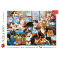 Puzzle carton 500 piese Trefl Familia de pisici, 37425, 10+ ani
