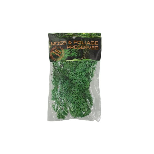 Licheni stabilizati, verde intens, punga 20g, Colorarte, Q1