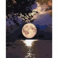 Set Pictura pe numere 40x50cm, Brushme - Luna plina - panza, cadru de lemn, pensule, culori acrilice, BS5639