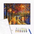 Set Pictura pe numere 40x50cm, Brushme - Plimbare noaptea in parc - panza, cadru de lemn, pensule, culori acrilice, BS51972