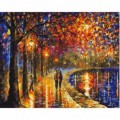 Set Pictura pe numere 40x50cm, Brushme - Plimbare noaptea in parc - panza, cadru de lemn, pensule, culori acrilice, BS51972