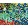 Set pictura pe numere 40x50cm, Brushme - Irisi - Van Gogh - pensule, culori, BS51339