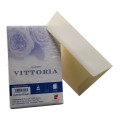 Plic color pentru invitatie Colorarte Vittoria, ivory, 120g/mp, 120x180mm, set 25 buc