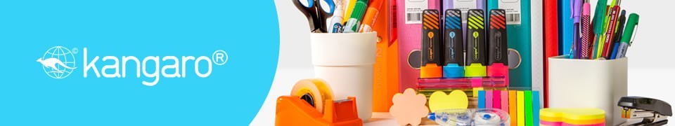 Seturi pentru birou: tavite, capsator, decapsator, perforator, capse