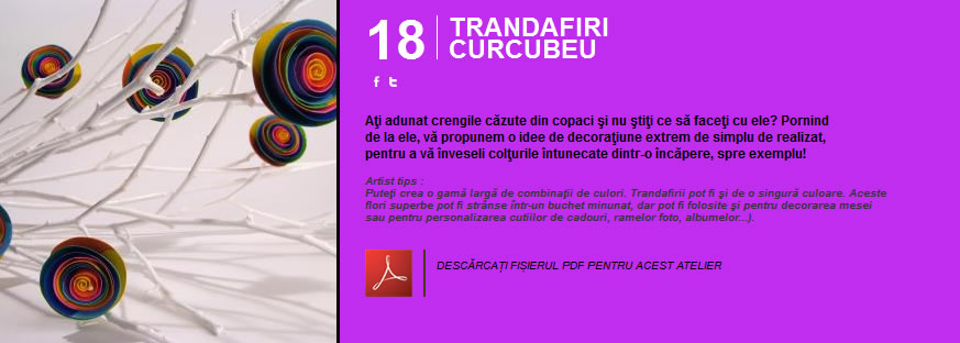 Trandafiri curcubeu - Atelier